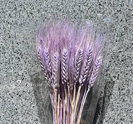 加那利_麥穗_八角花_乾燥花材-1.jpg
