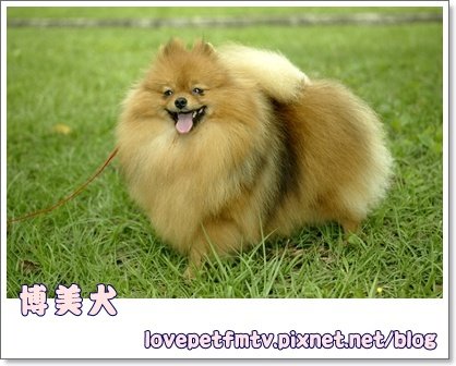 第十名.JPG