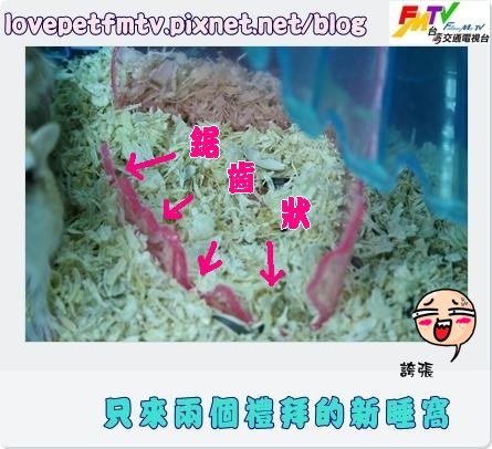 最終版初版20081201-只來兩個禮拜的新睡窩加箭頭.JPG