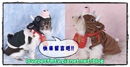 留言.jpg