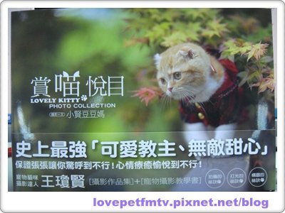 DSC05135(網誌用).JPG