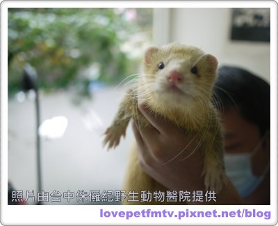 12.玩遊戲.JPG