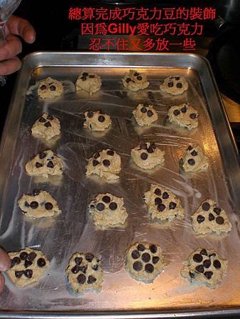 20091113chocolate cookies-1