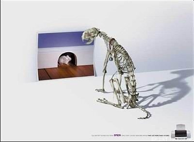 1261313723.jpg