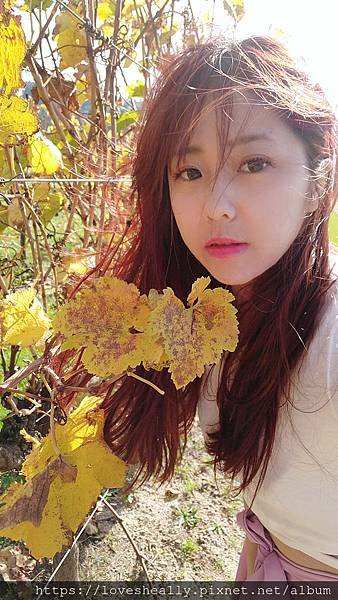 WuTa_2019-05-19_11-13-20.jpg