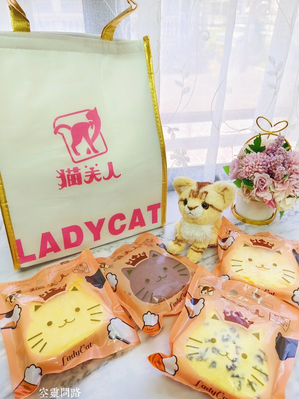 貓夫人LadyCat (12).jpg