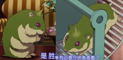 地.jpg