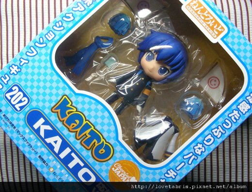 kaito (1)