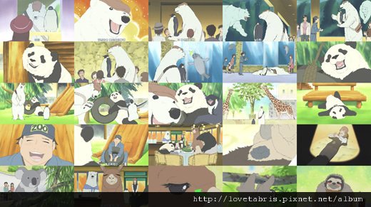 參觀動物園