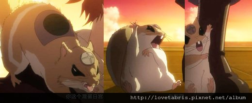 走開