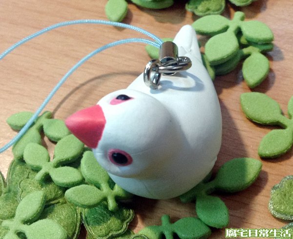 文鳥 (18)