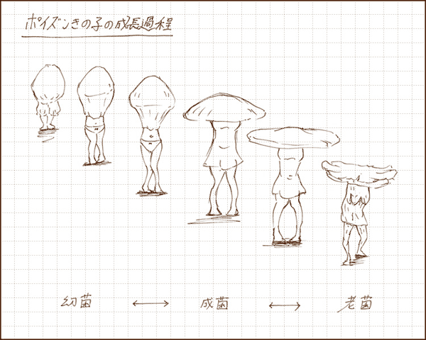 成長過程