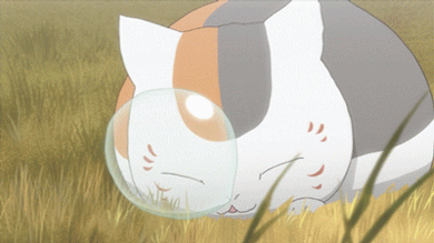 啪.gif
