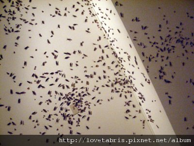 DSCN8108.JPG