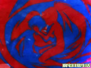 百合.jpg