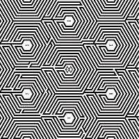 exo