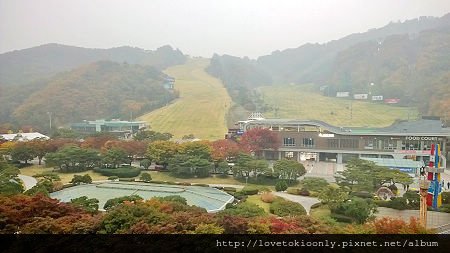 WP_20151020_06_45_28_Pro