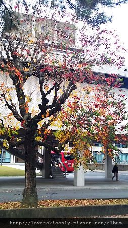 WP_20151122_14_46_45_Pro