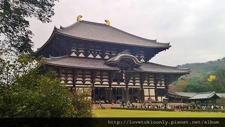 WP_20151122_15_15_08_Pro