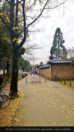 WP_20151122_15_48_48_Pro