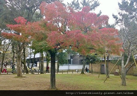 WP_20151122_15_47_05_Pro