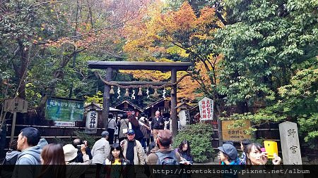 WP_20151124_12_02_16_Pro