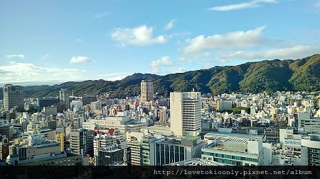 WP_20151124_15_04_11_Pro