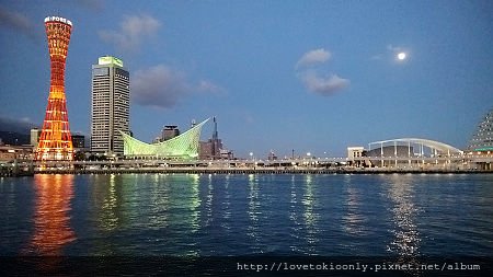 WP_20151124_17_09_52_Pro