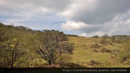 WP_20160305_11_13_26_Pro