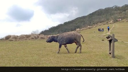 WP_20160305_12_04_08_Pro