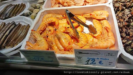WP_20160215_15_48_33_Pro