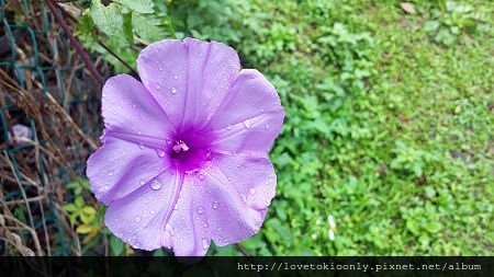 WP_20160411_14_43_36_Pro