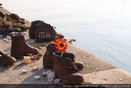 IMG_0303