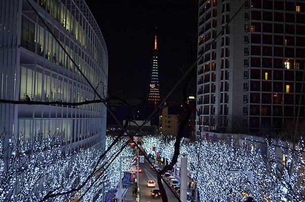 20121225_084 in Tokyo