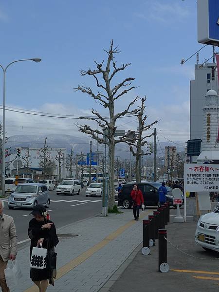 20110505 in OTARU 333.JPG