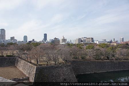 DSC07225