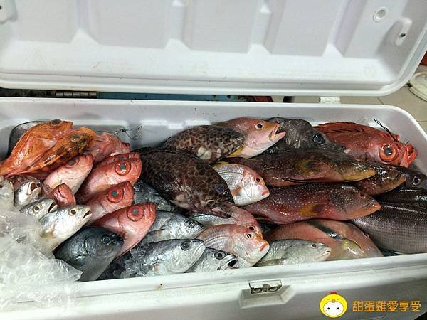 阿順海產07.jpg