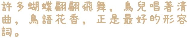 騰龍御櫻賞吉野櫻