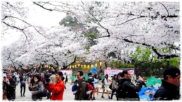 上野恩賜公園櫻吹雪