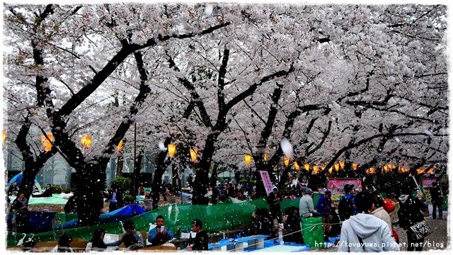 上野恩賜公園櫻吹雪