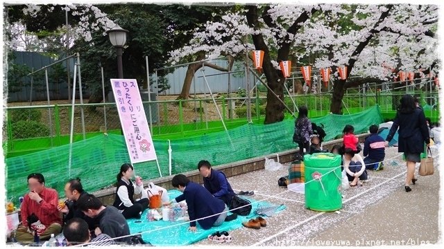 上野恩賜公園櫻吹雪