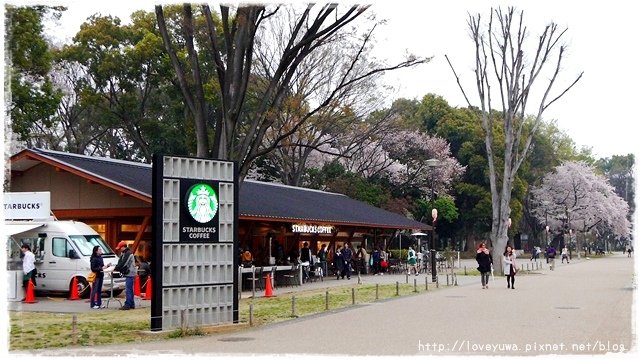 上野恩賜公園櫻吹雪