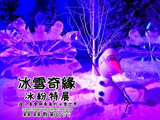 冰雪奇緣 冰紛特展