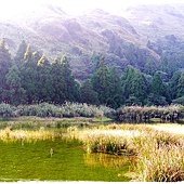 陽明山夢幻湖