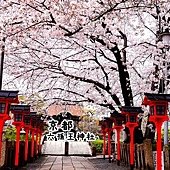 六孫王神社 櫻花