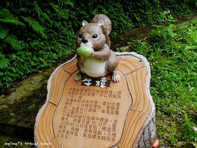 貓空茶香環狀步道 壺穴吊橋 茶展中心