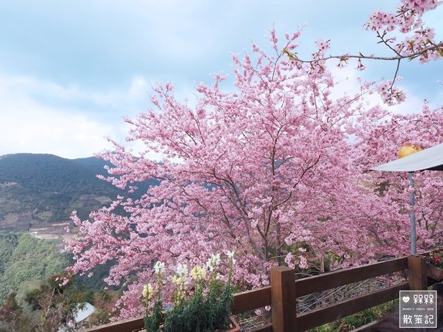 拉拉山恩愛農場