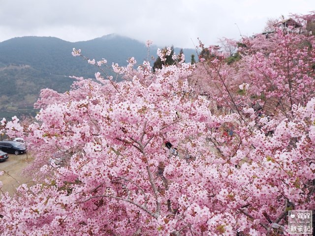 拉拉山恩愛農場