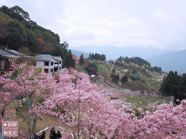 拉拉山恩愛農場