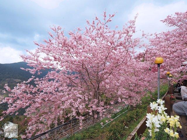 拉拉山恩愛農場